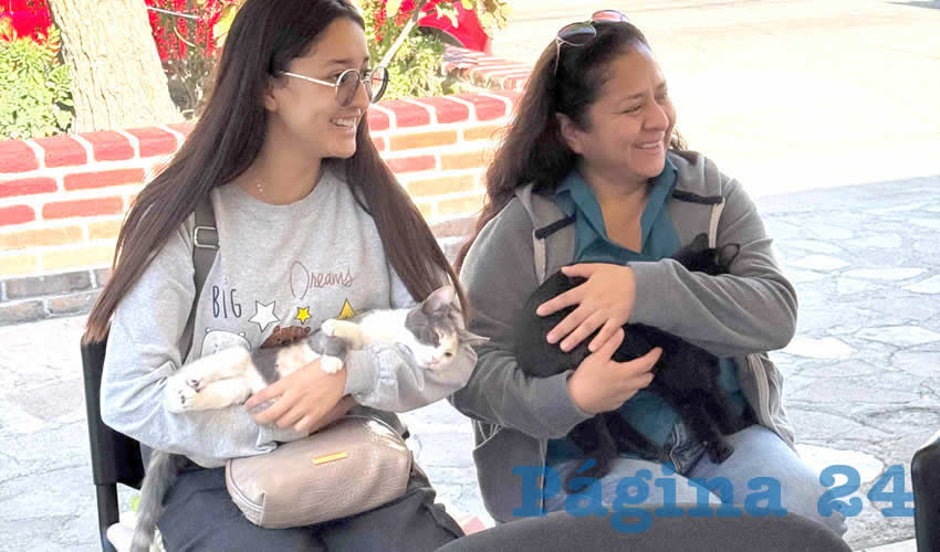 Imagen relativa a la nota.