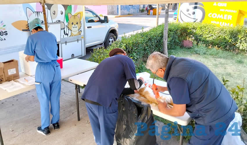 Imagen relativa a la nota.