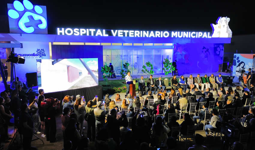 Imagen relativa a la nota.