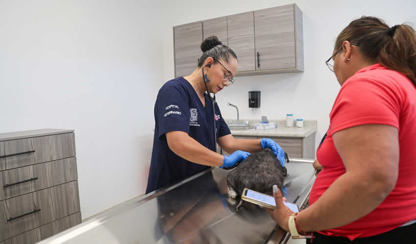 Imagen relativa a la nota.