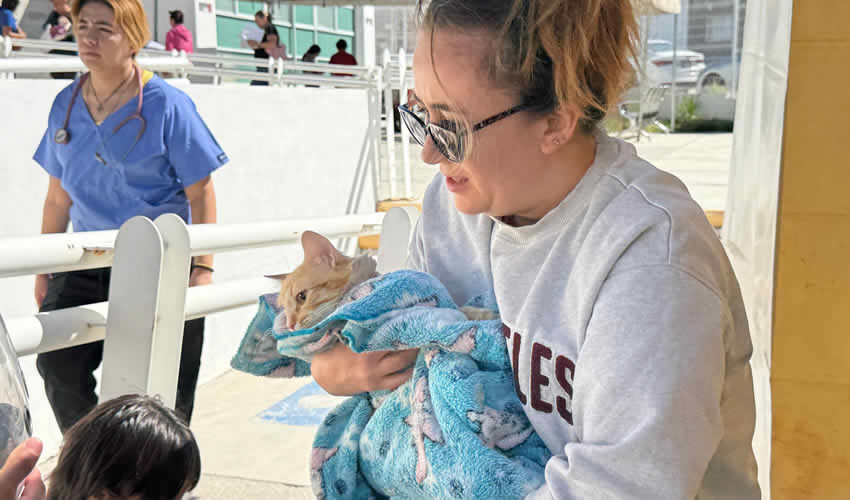 Imagen relativa a la nota.