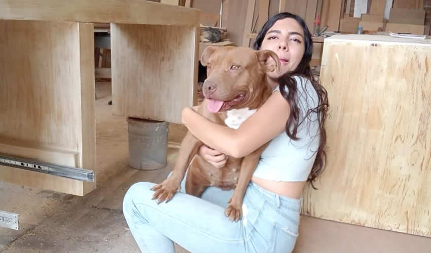 Imagen relativa a la nota.