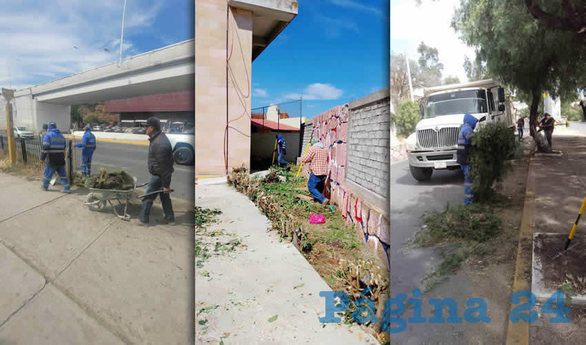 Imagen relativa a la nota.