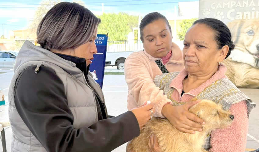 Imagen relativa a la nota.