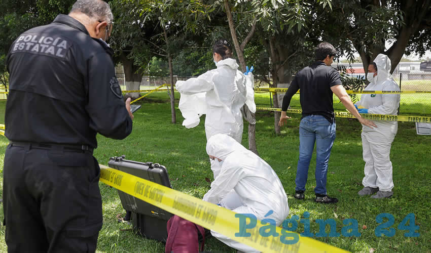 Imagen relativa a la nota.