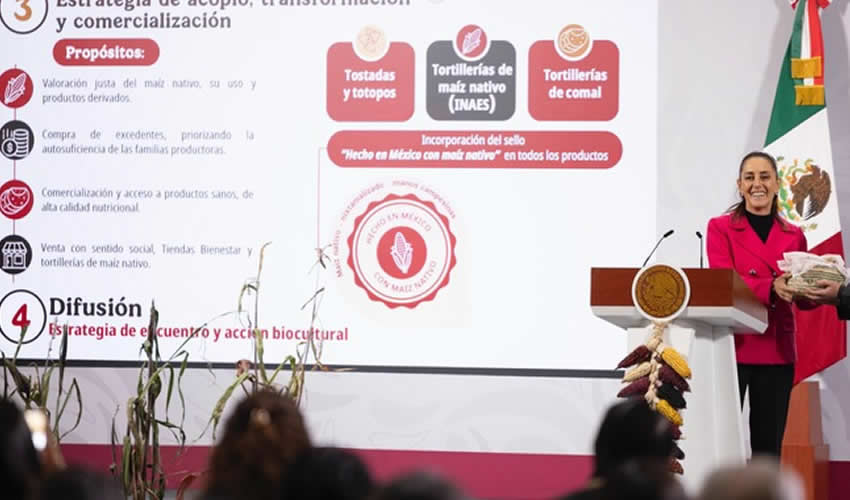 Imagen relativa a la nota.