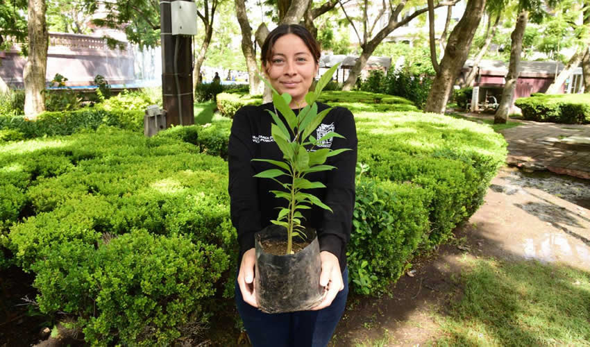 Imagen relativa a la nota.