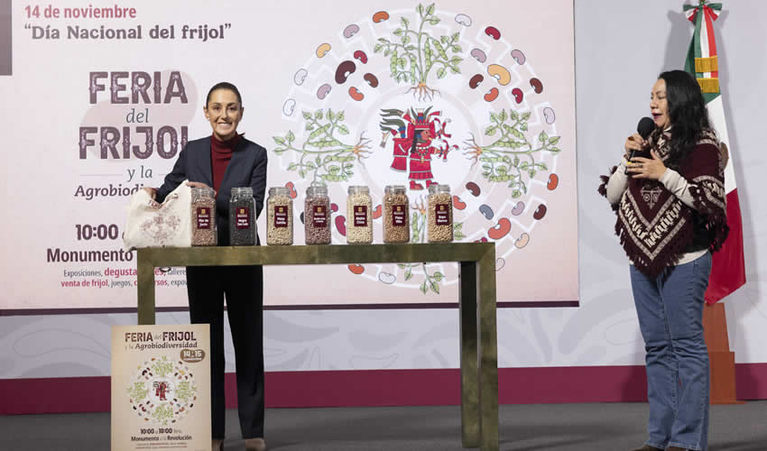 Imagen relativa a la nota.