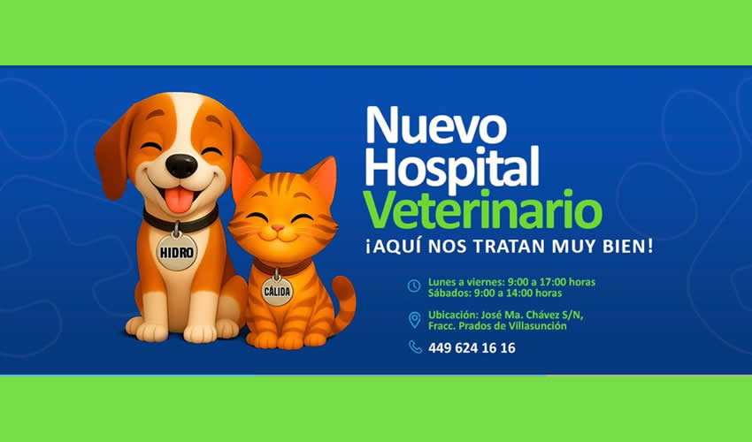 Imagen relativa a la nota.