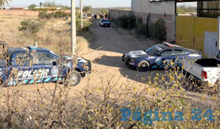 Imagen relativa a la nota.