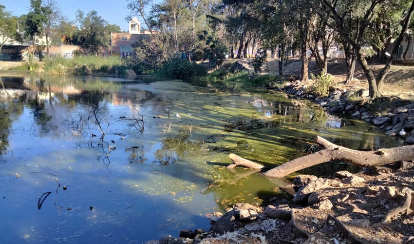 Imagen relativa a la nota.