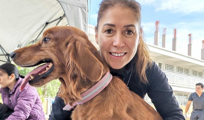 Imagen relativa a la nota.