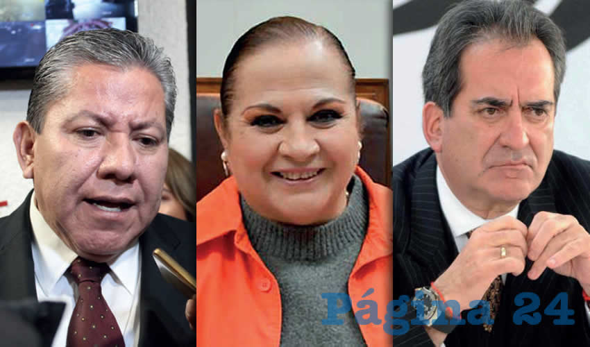 Mi Jardín de Flores