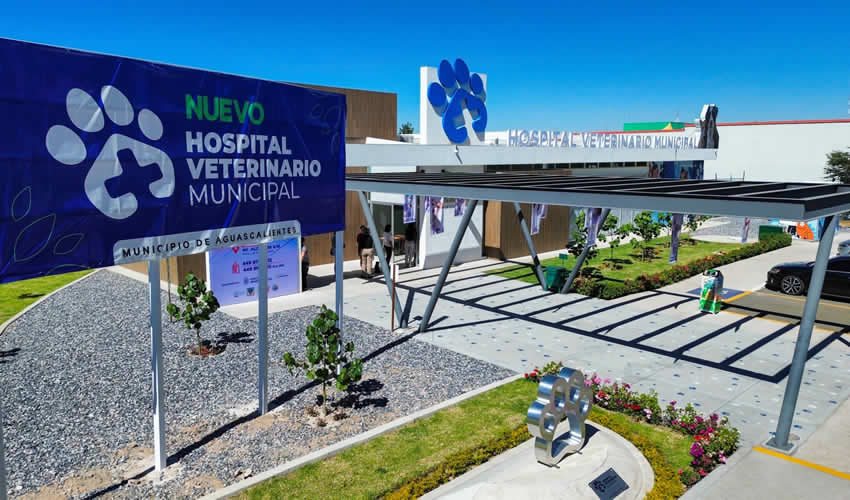 Imagen relativa a la nota.