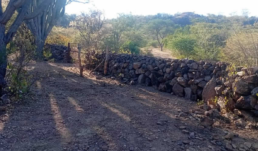 Imagen relativa a la nota.