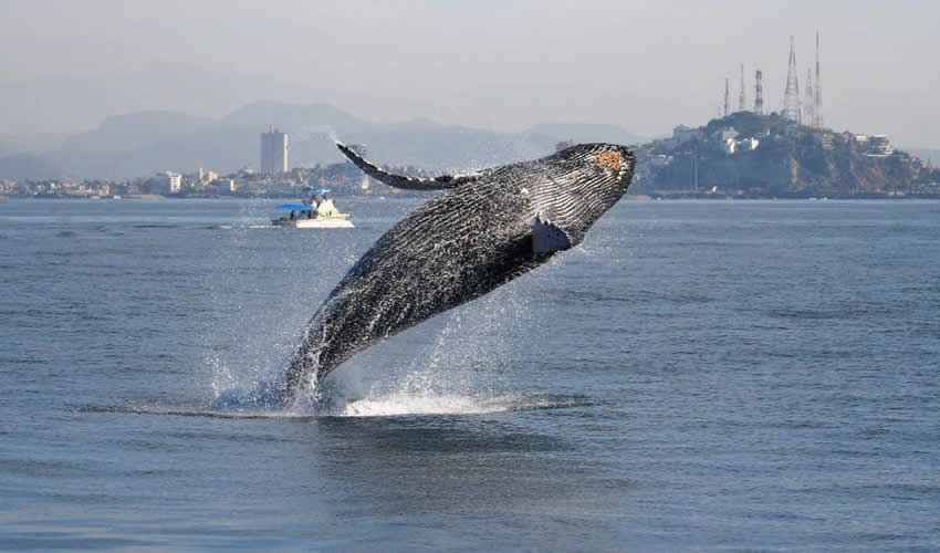 Imagen relativa a la nota.