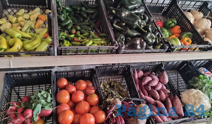 Imagen relativa a la nota.