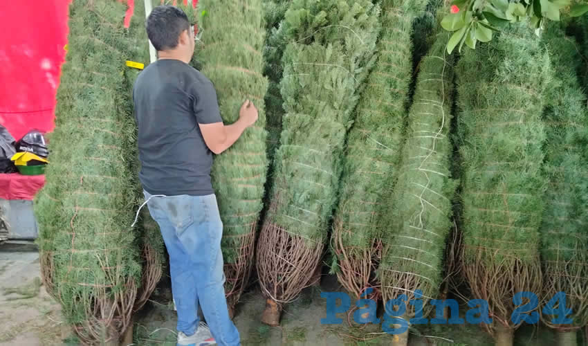 Imagen relativa a la nota.