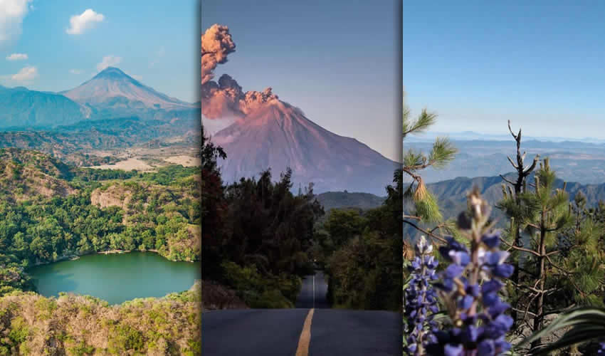 Imagen relativa a la nota.