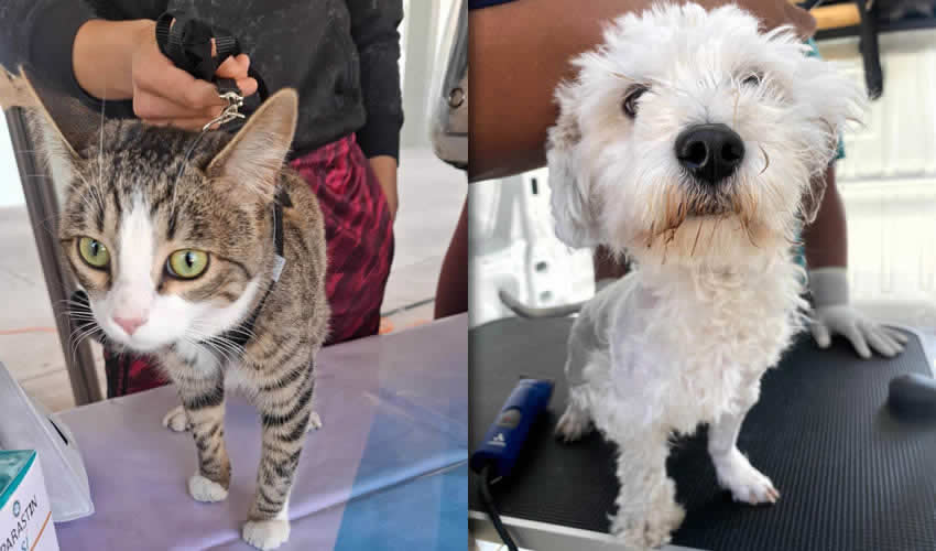 Imagen relativa a la nota.