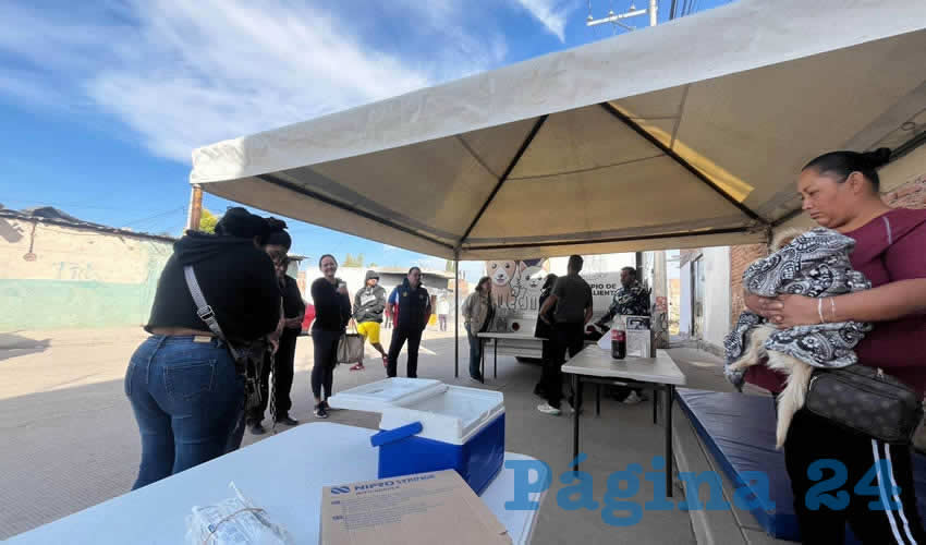 Imagen relativa a la nota.