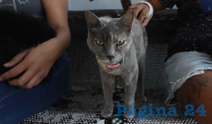 Imagen relativa a la nota.