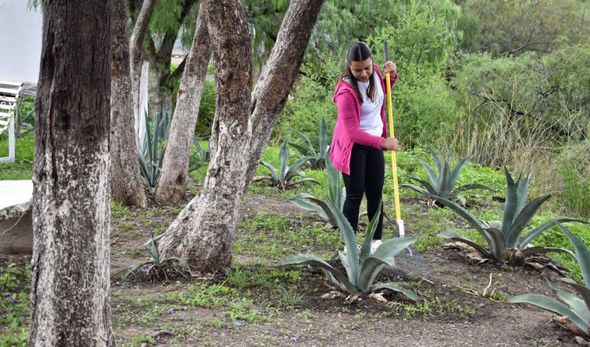 Imagen relativa a la nota.
