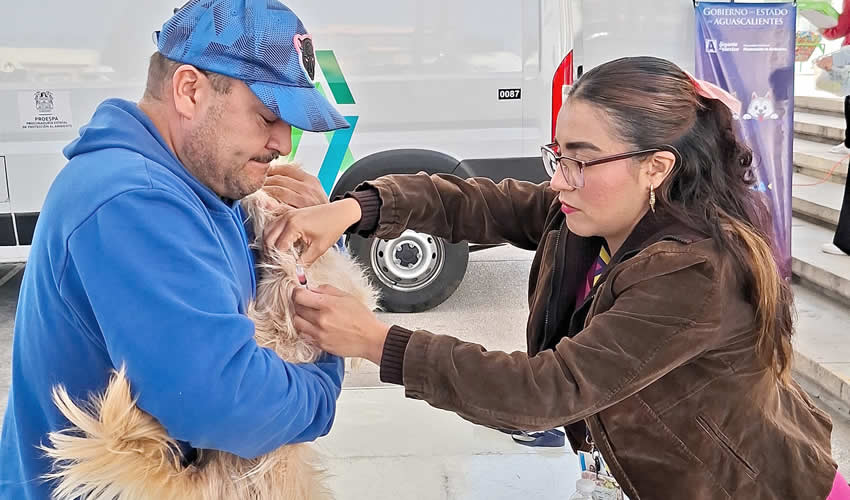 Imagen relativa a la nota.
