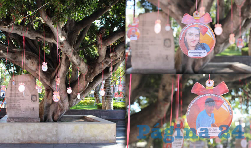 Imagen relativa a la nota.