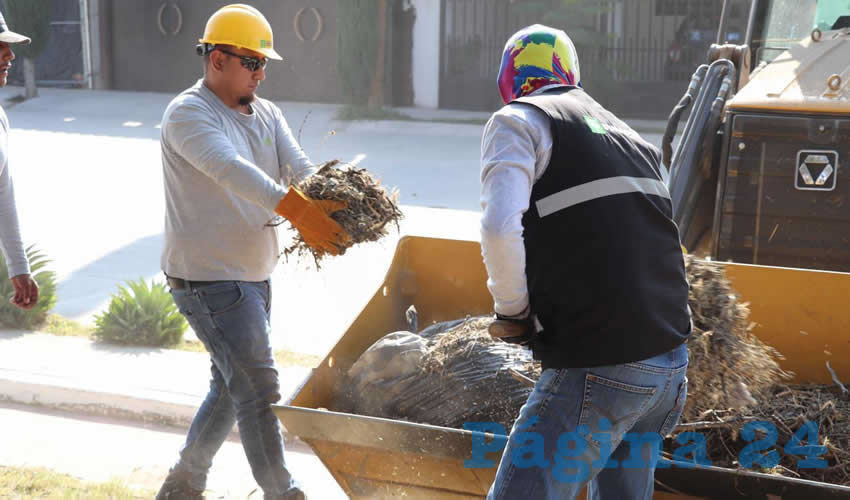 Imagen relativa a la nota.