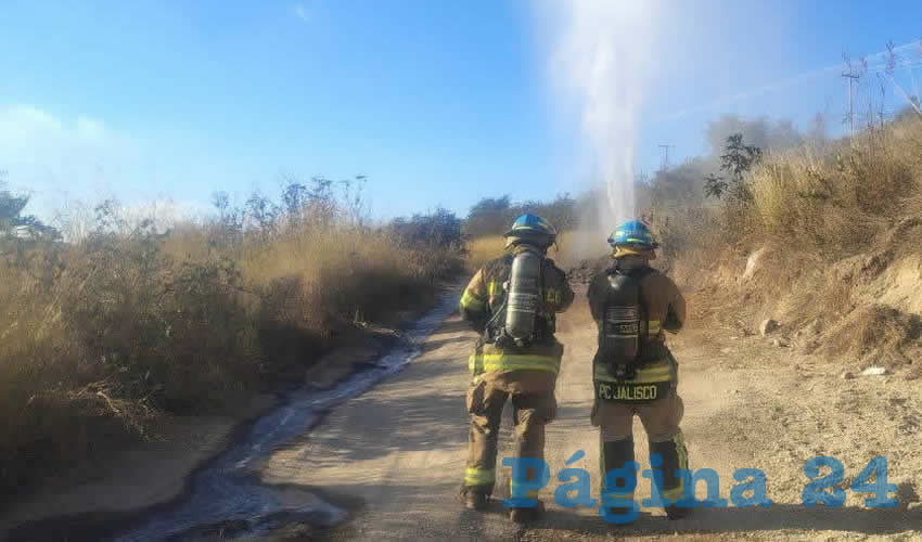 Imagen relativa a la nota.