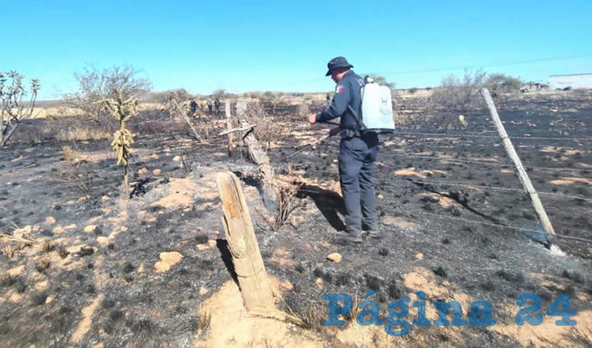 Imagen relativa a la nota.