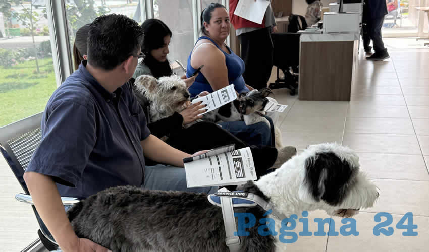 Imagen relativa a la nota.