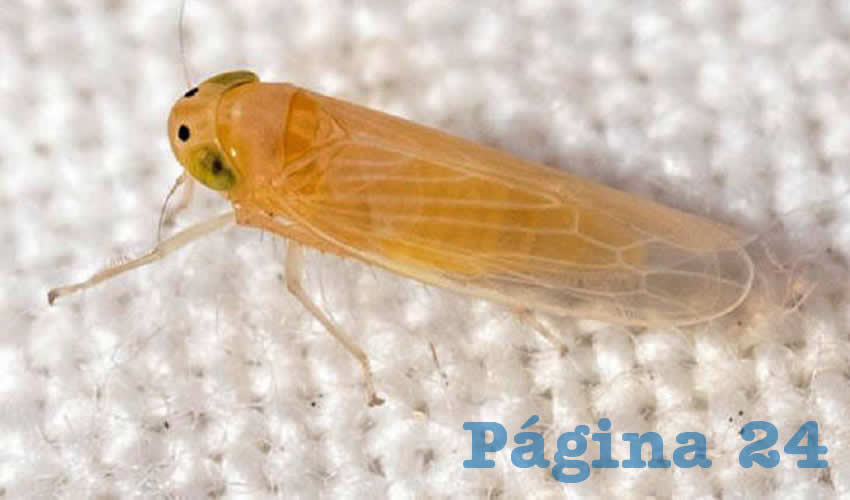 Imagen relativa a la nota.