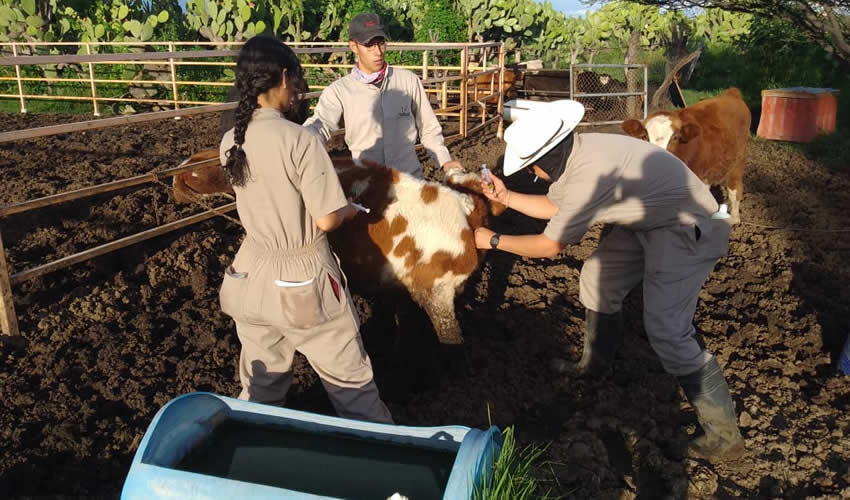 Imagen relativa a la nota.