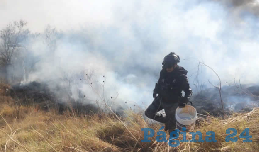 Imagen relativa a la nota.