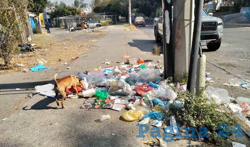 Imagen relativa a la nota.