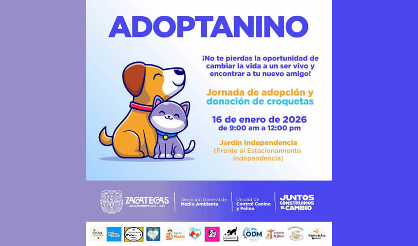 Imagen relativa a la nota.