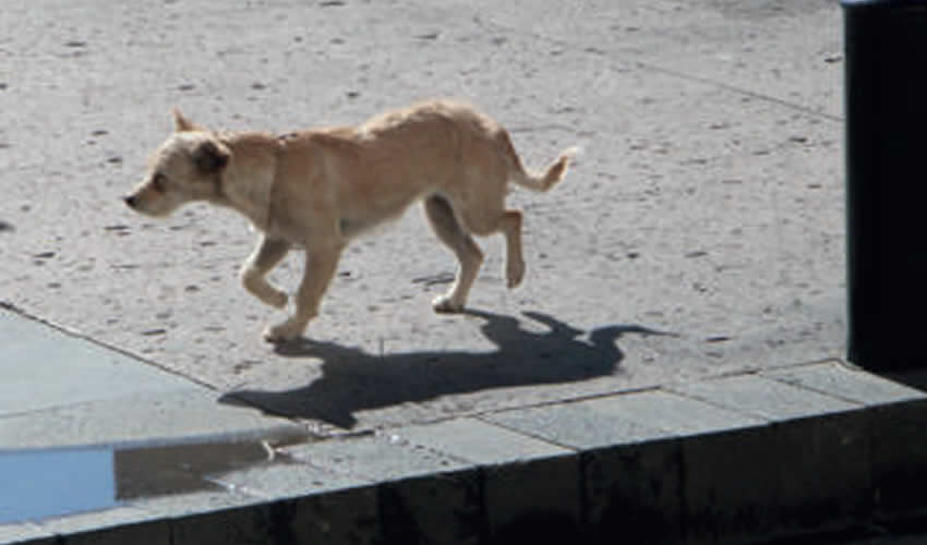 Imagen relativa a la nota.