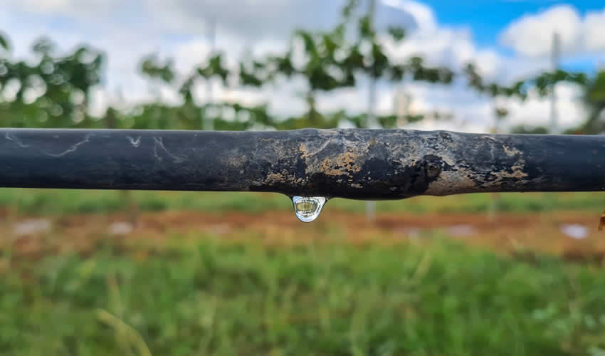 Imagen relativa a la nota.