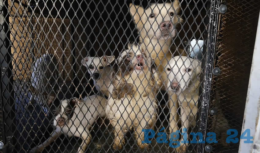 Imagen relativa a la nota.