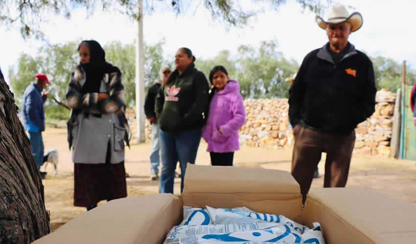 Imagen relativa a la nota.