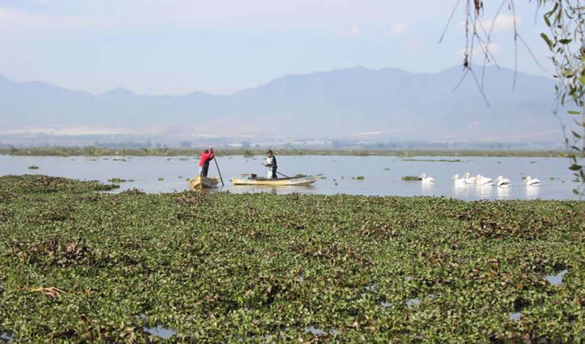 Imagen relativa a la nota.