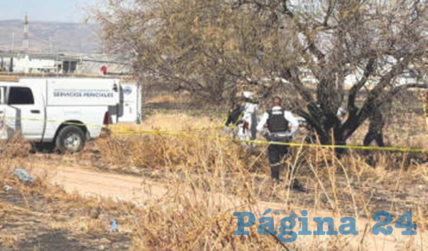 Imagen relativa a la nota.