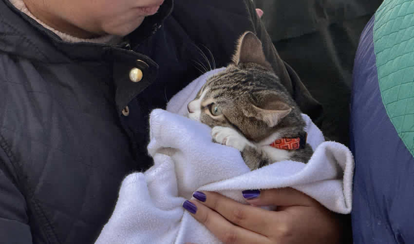 Imagen relativa a la nota.