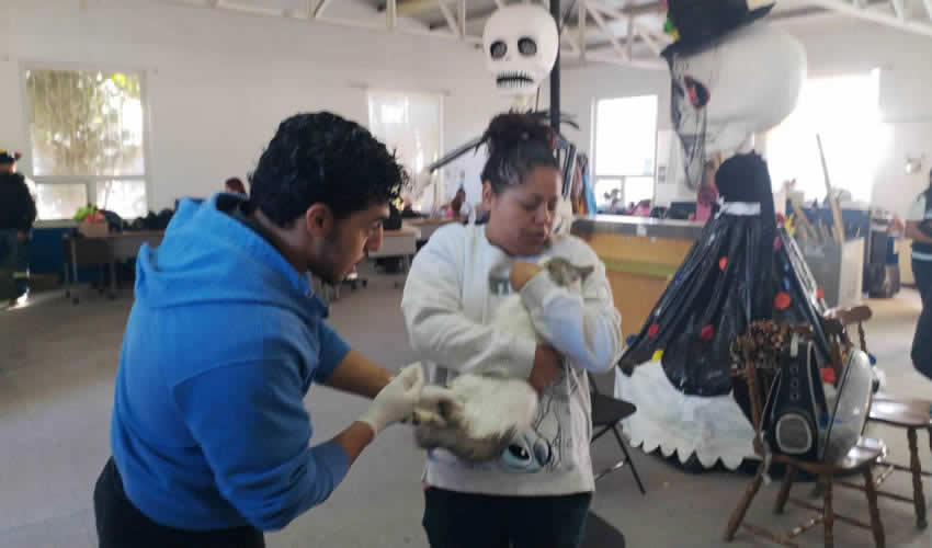 Imagen relativa a la nota.