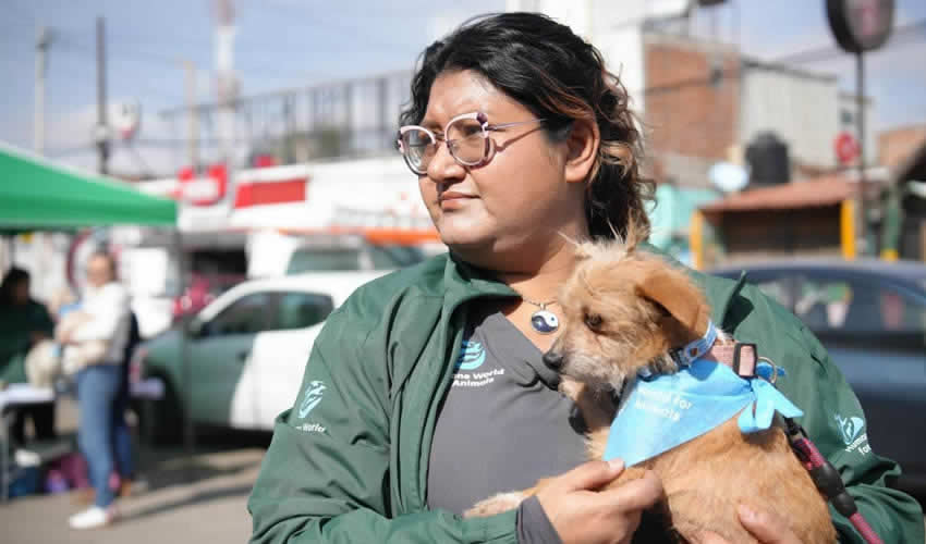 Imagen relativa a la nota.