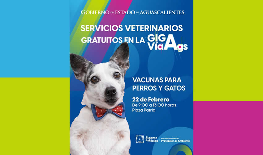 Imagen relativa a la nota.