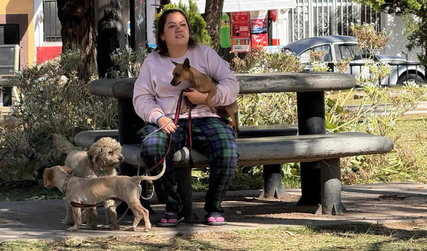 Imagen relativa a la nota.