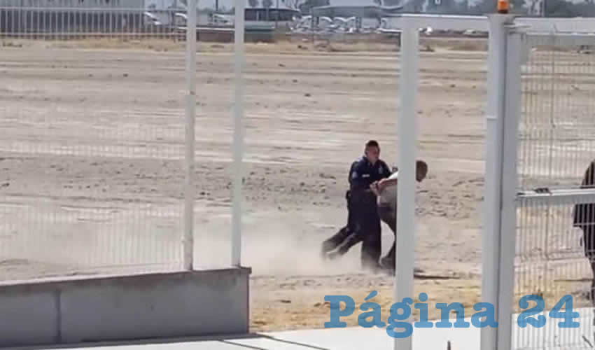 Imagen relativa a la nota.